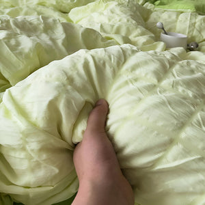 Honorine Summer Quilt Set for Warm Nights with Cases
