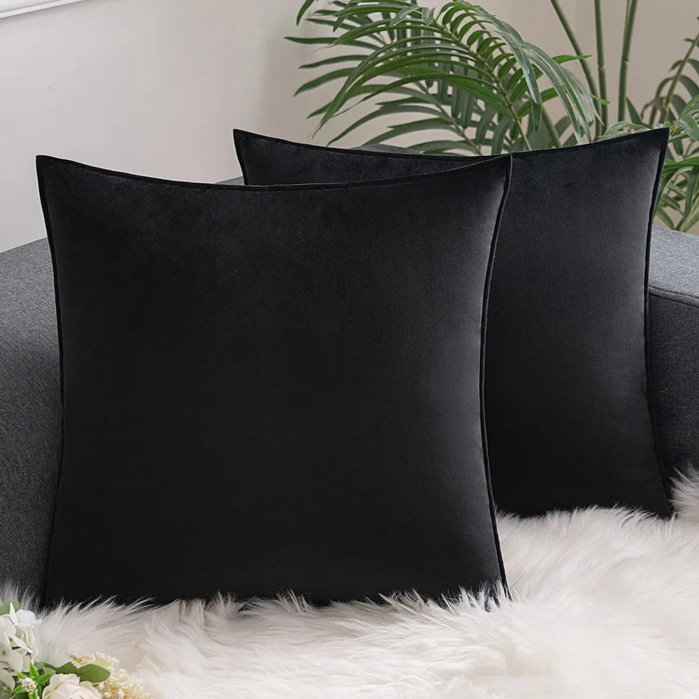 Black pair on a sheepskin rug