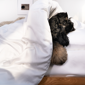 Bianca Bamboo Quilt Cover for Hot Sleepers with Cool Sateen